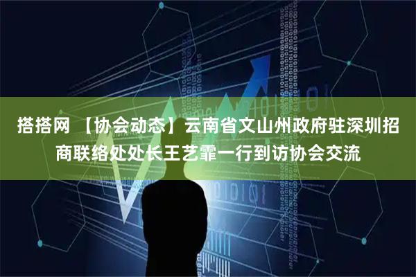 搭搭网 【协会动态】云南省文山州政府驻深圳招商联络处处长王艺霏一行到访协会交流
